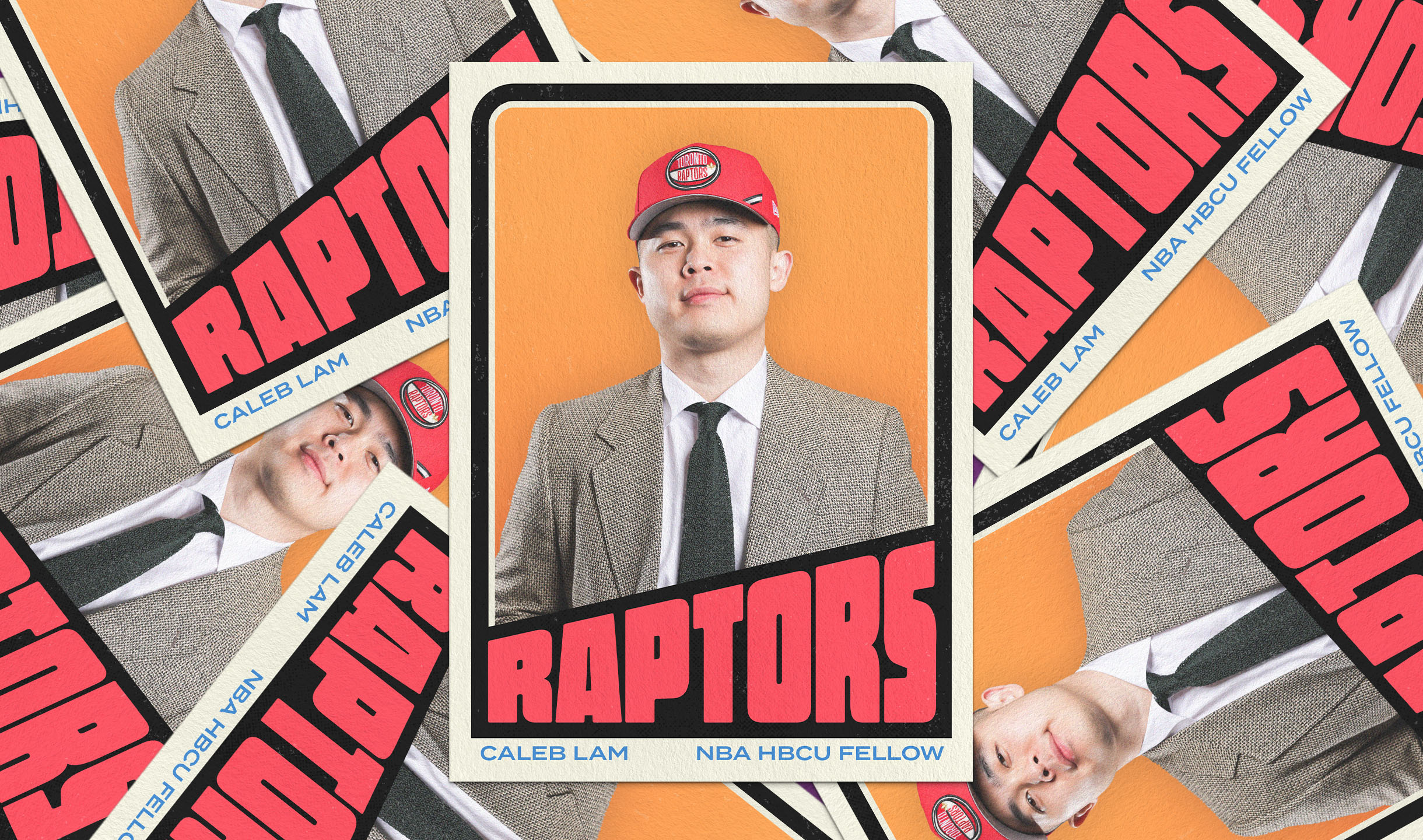 Raptors-Hero